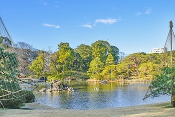 apartment 東京都渋谷区広尾１丁目1-39 恵比寿プライムスクエアタワー６階