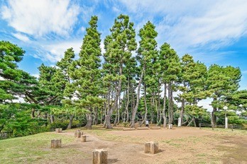 apartment 東京都渋谷区広尾１丁目1-39 恵比寿プライムスクエアタワー６階