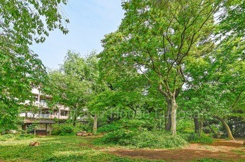 apartment 東京都渋谷区広尾１丁目1-39 恵比寿プライムスクエアタワー６階