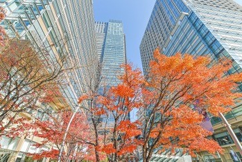 apartment 東京都渋谷区広尾１丁目1-39 恵比寿プライムスクエアタワー６階