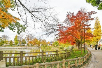 apartment 東京都渋谷区広尾１丁目1-39 恵比寿プライムスクエアタワー６階