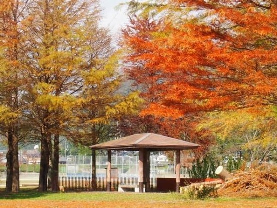 detached 大阪府大阪市北区松ケ枝町6-11