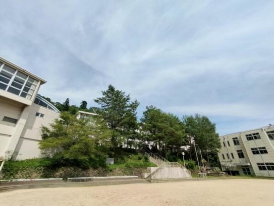 detached 大阪府大阪市北区松ケ枝町6-11