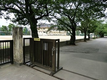 apartment 千葉県市川市八幡１丁目1-16-1 Y&Y 本八幡