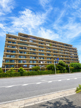 apartment 千葉県市川市八幡１丁目1-16-1 Y&Y 本八幡