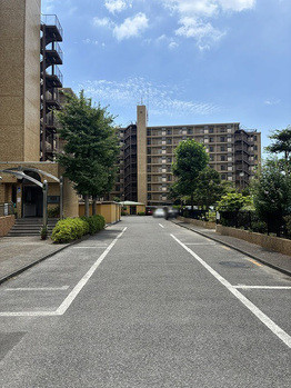 apartment 千葉県市川市八幡１丁目1-16-1 Y&Y 本八幡