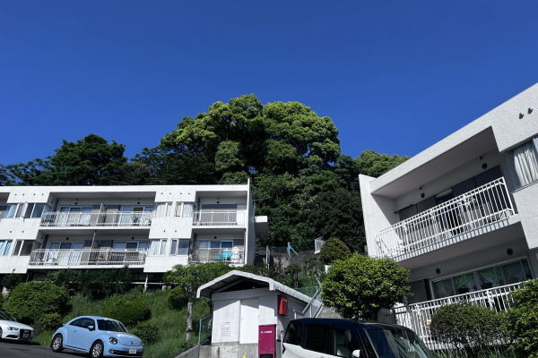 apartment 静岡県熱海市網代
地図を見る