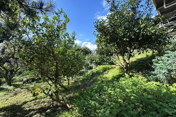detached 神奈川県足柄下郡湯河原町城堀
地図を見る