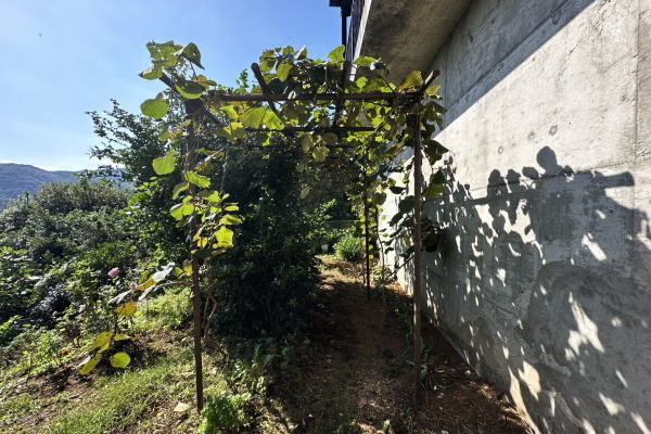 detached 神奈川県足柄下郡湯河原町城堀
地図を見る