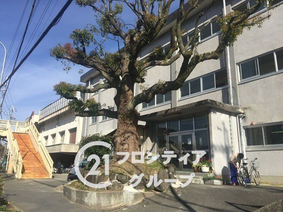 apartment 奈良県奈良市富雄北１丁目
地図を見る