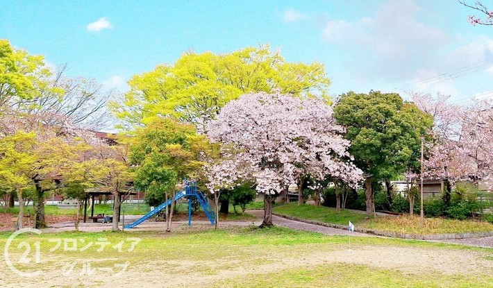 apartment 奈良県奈良市あやめ池南３丁目
地図を見る