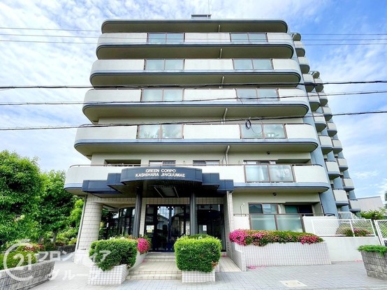 apartment 奈良県橿原市西池尻町
地図を見る