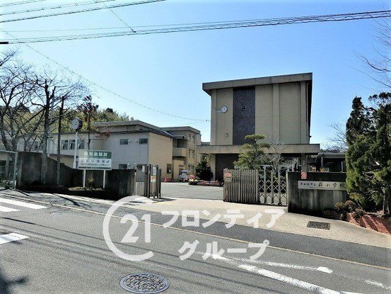 detached 京都府京田辺市薪堀切谷
地図を見る