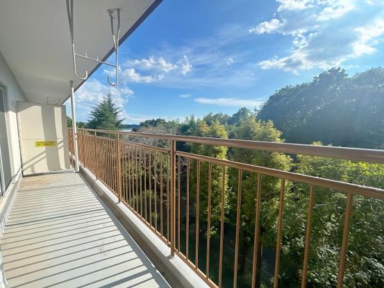 apartment 茨城県つくば市上横場253-1 M.Iビル2-A号室