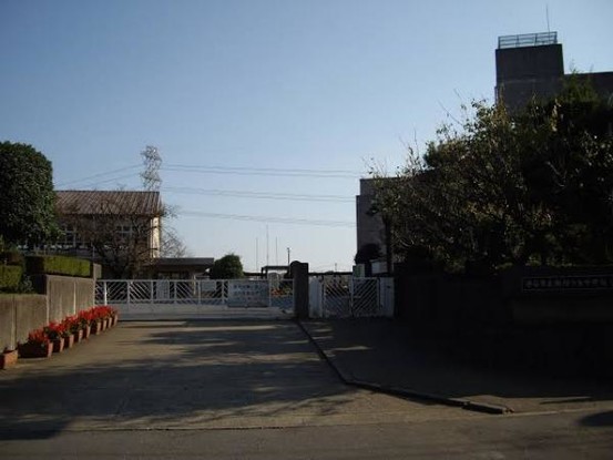 detached 茨城県つくば市上横場253-1 M.Iビル2-A号室
