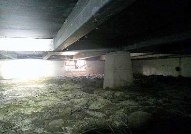 detached 福井県敦賀市平和町37-6　山田ビル　1階A号室