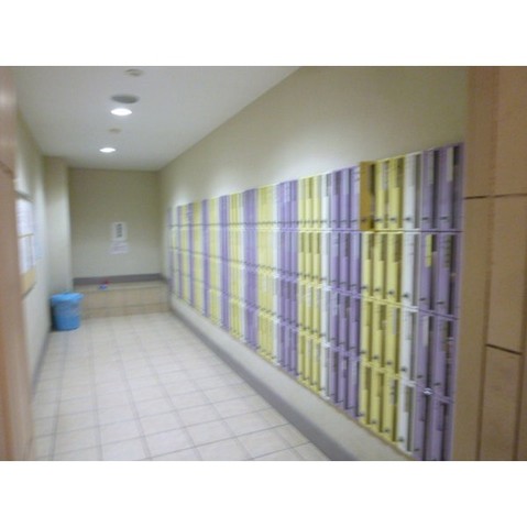 apartment 千葉県千葉市花見川区幕張本郷２丁目8-4 石渡第５ビル１階