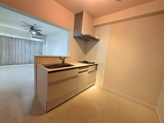 apartment 埼玉県和光市本町3-13 タウンコートエクセル１Ｆ