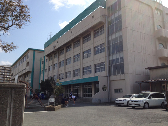 apartment 千葉県市川市行徳駅前２丁目１３－１ ＥＮＤＯ．ＢＬＤＧ３　2Ｆ