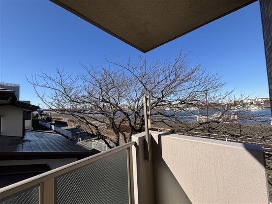 apartment 千葉県市川市行徳駅前２丁目１３－１ ＥＮＤＯ．ＢＬＤＧ３　2Ｆ