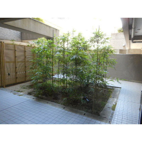 apartment 神奈川県川崎市多摩区登戸２４２２ー３ グロウス ２F