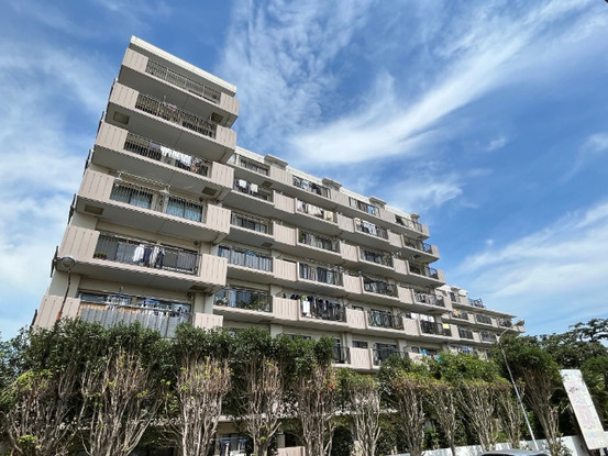 apartment 千葉県柏市柏３丁目6-29 サンライズ吉野１階