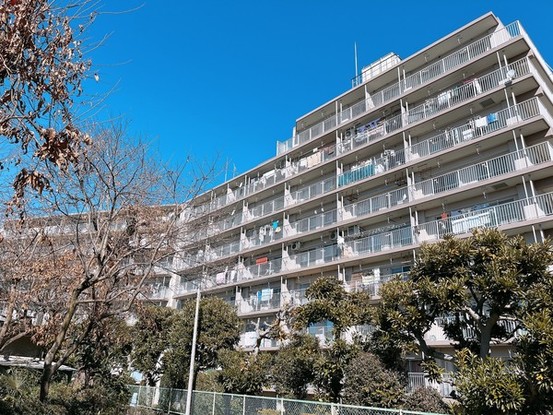 apartment 千葉県柏市柏３丁目6-29 サンライズ吉野１階