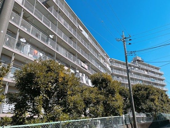 apartment 千葉県柏市柏３丁目6-29 サンライズ吉野１階