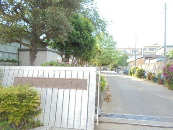 apartment 千葉県柏市柏３丁目6-29 サンライズ吉野１階