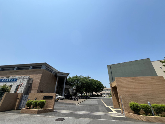 apartment 千葉県柏市柏３丁目6-29 サンライズ吉野１階