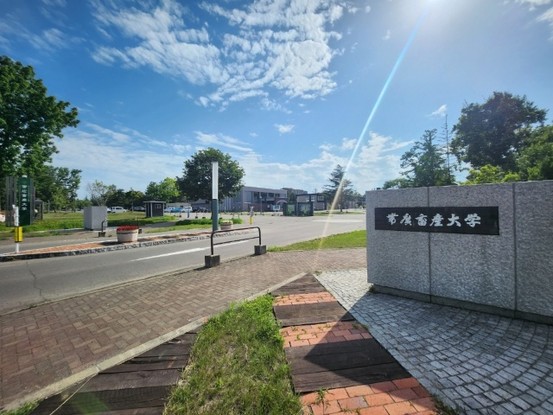 detached 北海道河東郡音更町北鈴蘭北５丁目
地図を見る