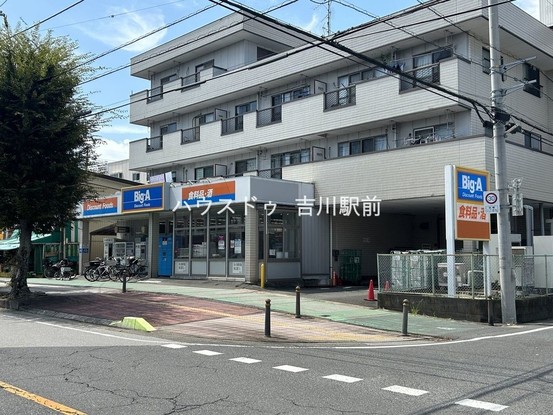 apartment 埼玉県吉川市木売１丁目9-4 クレオメデス101