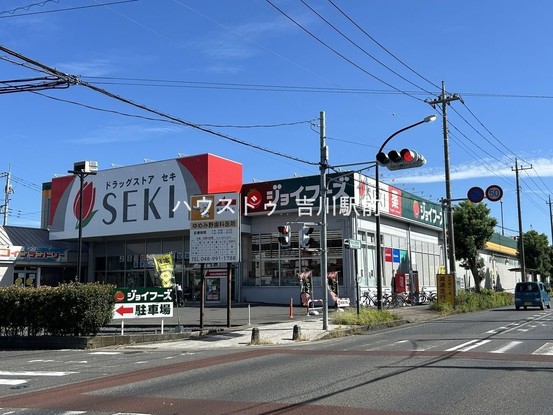 detached 埼玉県吉川市木売１丁目9-4 クレオメデス101