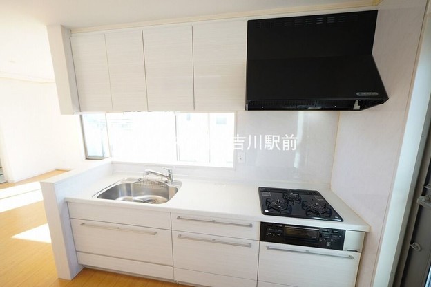 detached 埼玉県吉川市木売１丁目9-4 クレオメデス101