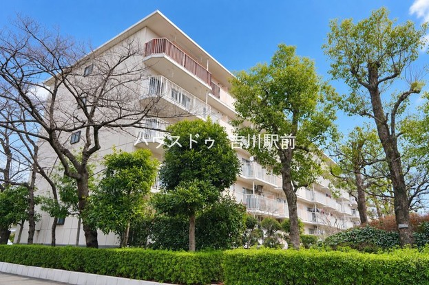 apartment 埼玉県吉川市木売１丁目9-4 クレオメデス101