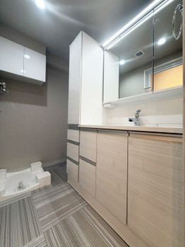 apartment 東京都葛飾区東金町１丁目27-6 オランジェテラスⅠ
