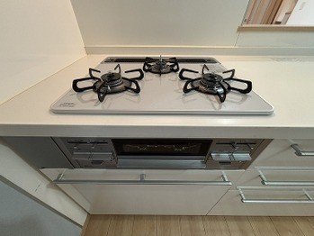 detached 東京都葛飾区東金町１丁目27-6 オランジェテラスⅠ