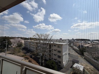 apartment 東京都葛飾区東金町１丁目27-6 オランジェテラスⅠ