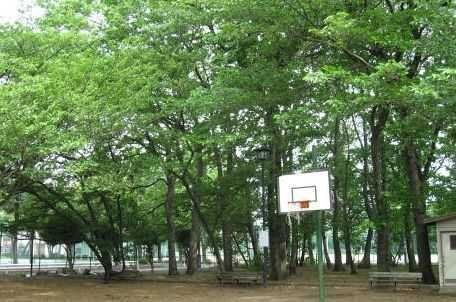 apartment 東京都昭島市松原町３丁目6-5 プランシエル1階