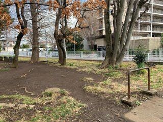 apartment 東京都昭島市松原町３丁目6-5 プランシエル1階