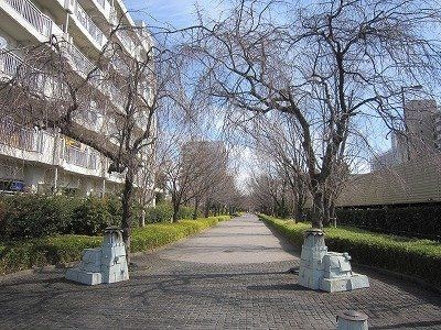 apartment 東京都昭島市松原町３丁目6-5 プランシエル1階