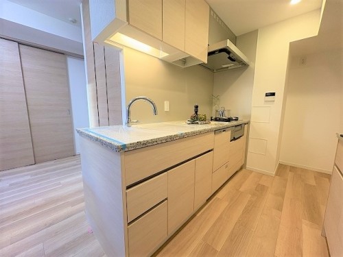 apartment 東京都新宿区西新宿１丁目6-1 新宿エルタワー17階