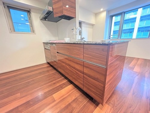 apartment 東京都新宿区西新宿１丁目6-1 新宿エルタワー17階