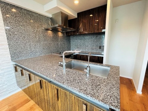 apartment 東京都新宿区西新宿１丁目6-1 新宿エルタワー17階