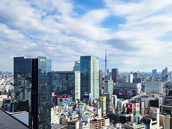 apartment 東京都中央区八重洲１丁目5-20 東京建物八重洲さくら通りビル5階