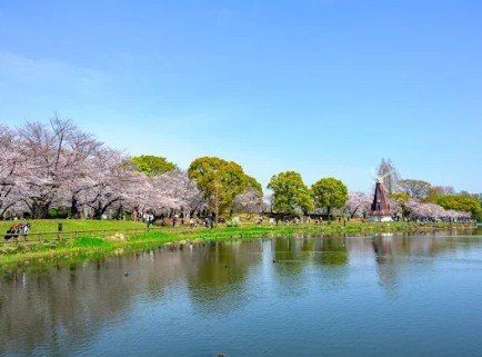 detached 東京都杉並区阿佐谷北４丁目20-7 アルファコート1階