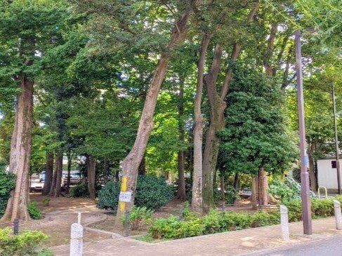 detached 東京都杉並区阿佐谷北４丁目20-7 アルファコート1階