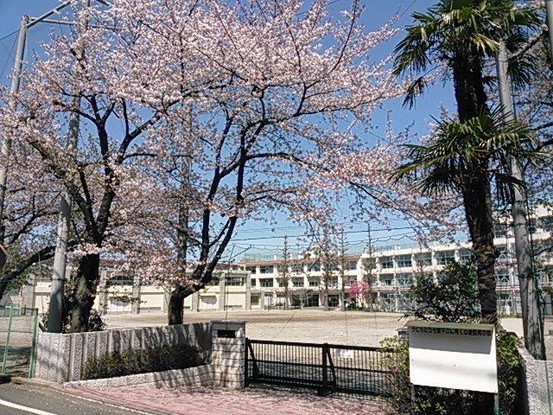 detached 東京都杉並区阿佐谷北４丁目20-7 アルファコート1階