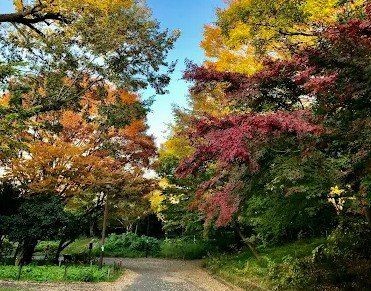 detached 東京都杉並区阿佐谷北４丁目20-7 アルファコート1階