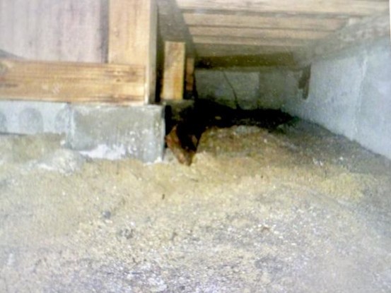 detached 宮城県仙台市青葉区木町通２丁目1-33　伊澤竹に雀ビル212号室